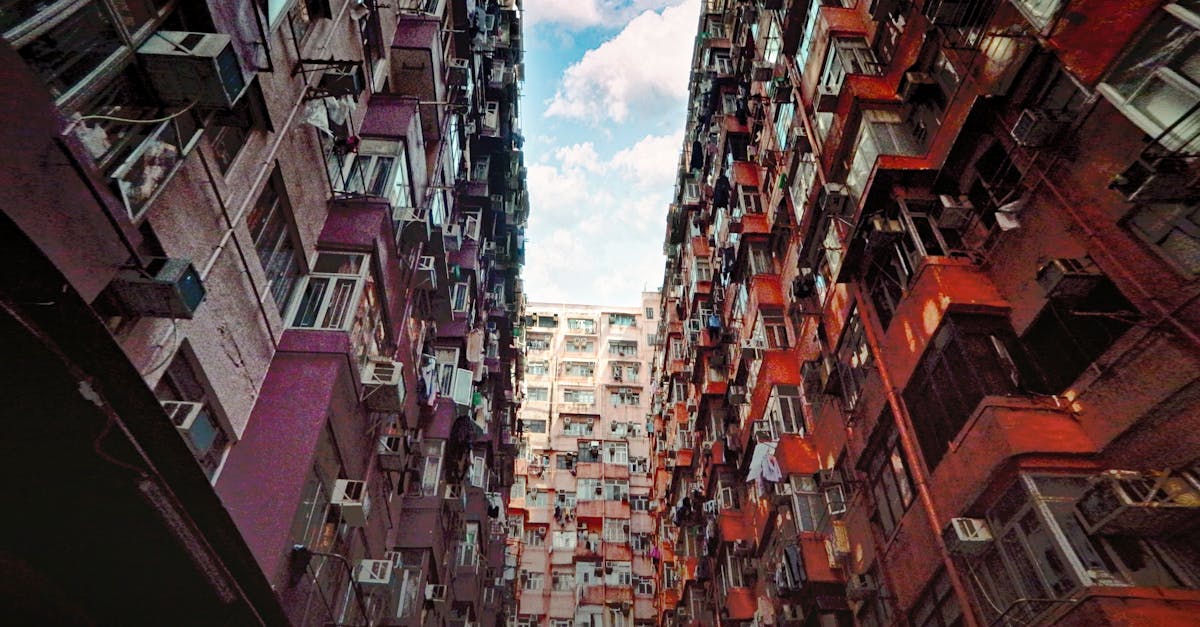 découvrez les dynamiques de la population mondiale : tendances, statistiques et impacts sur l'environnement, l'économie et la société. explorez comment la croissance démographique façonne notre avenir.
