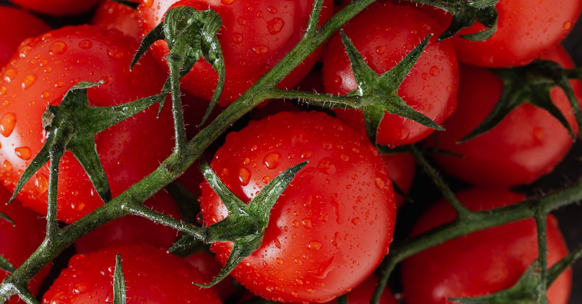 découvrez les causes et les solutions à la chute prématurée des fruits dans votre jardin. apprenez à identifier les facteurs qui affectent la santé de vos plantes et à mettre en œuvre des stratégies efficaces pour maximiser votre récolte.