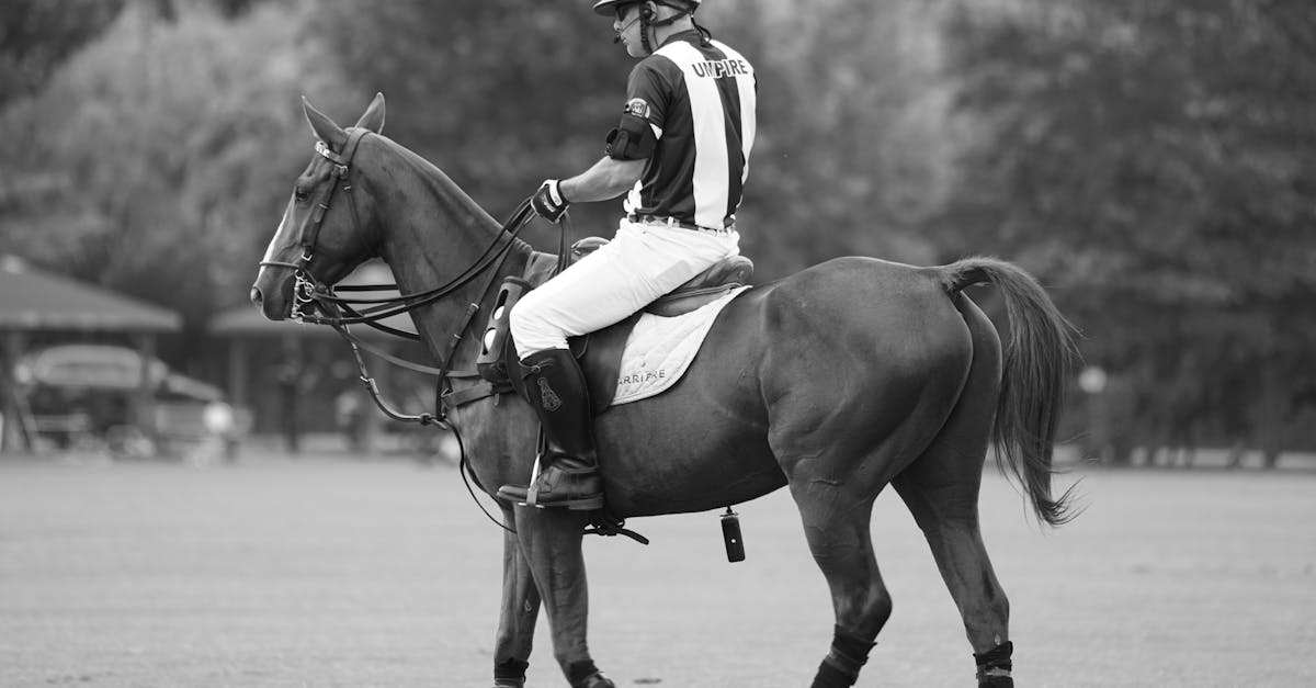 découvrez les races de chevaux rares qui fascinent par leur beauté et leur caractère unique. apprenez-en plus sur ces équidés exceptionnels, leur histoire et leurs caractéristiques distinctives.