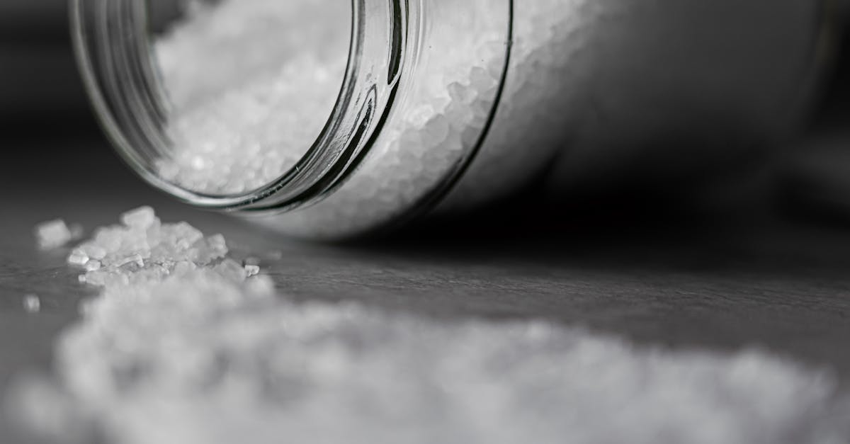 découvrez le monde du sel : ses variétés, ses bienfaits pour la santé et ses applications en cuisine. apprenez à utiliser cet ingrédient essentiel pour rehausser vos plats et explorer des recettes savoureuses mettant en avant ce trésor naturel.