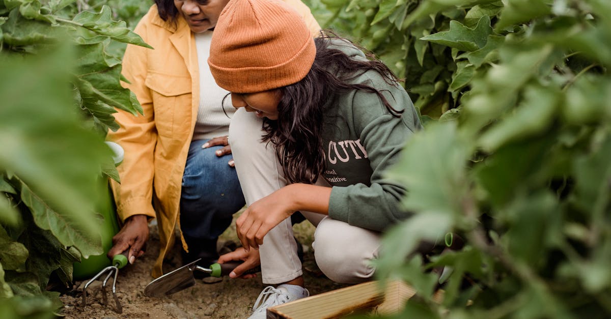 découvrez le concept d'autosuffisance, un mode de vie durable qui favorise l'autonomie alimentaire et énergétique. apprenez à vivre de manière indépendante en cultivant vos propres aliments, en utilisant des énergies renouvelables et en adoptant des méthodes écologiques. explorez les bénéfices d'une existence en harmonie avec la nature.