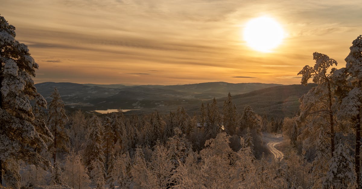 découvrez la magie du solstice d'hiver, un moment sacré marquant le début de l'hiver. plongez dans les traditions, les célébrations et les événements culturels qui entourent ce phénomène naturel fascinant.