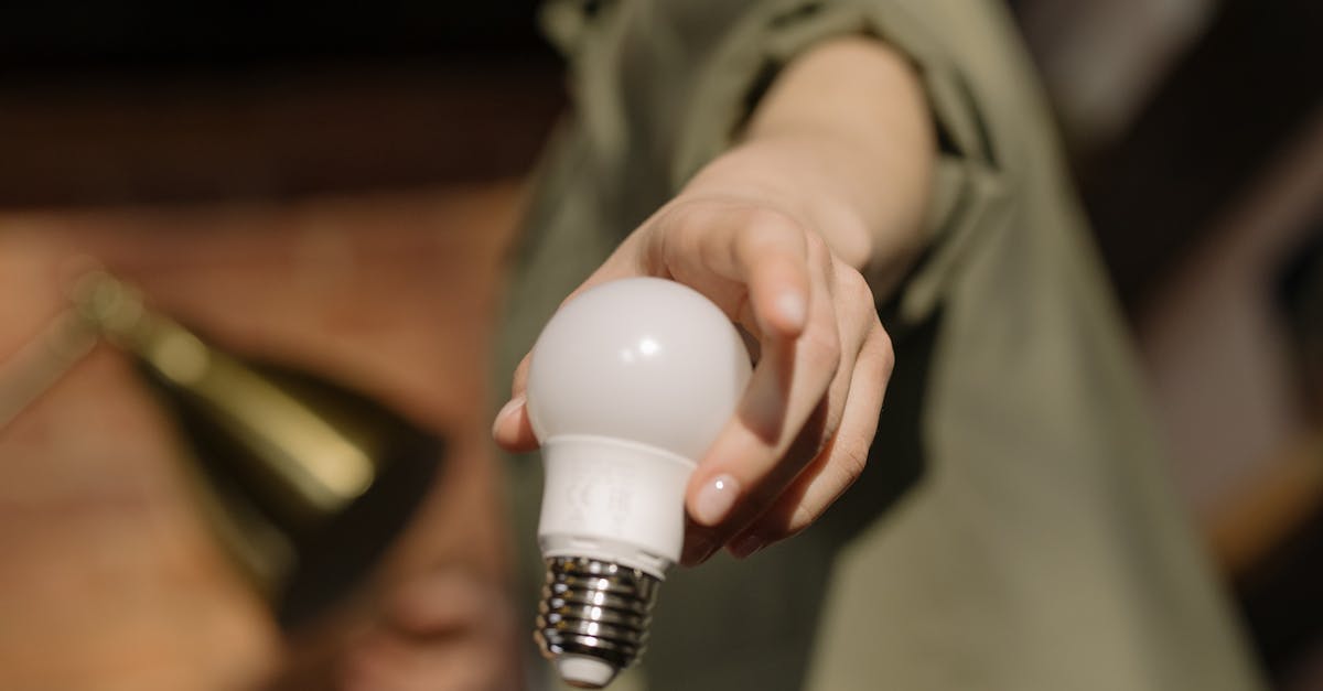 découvrez des solutions de nettoyage écologiques qui protègent la planète tout en maintenant votre maison propre et saine. adoptez des pratiques respectueuses de l'environnement pour un quotidien durable.