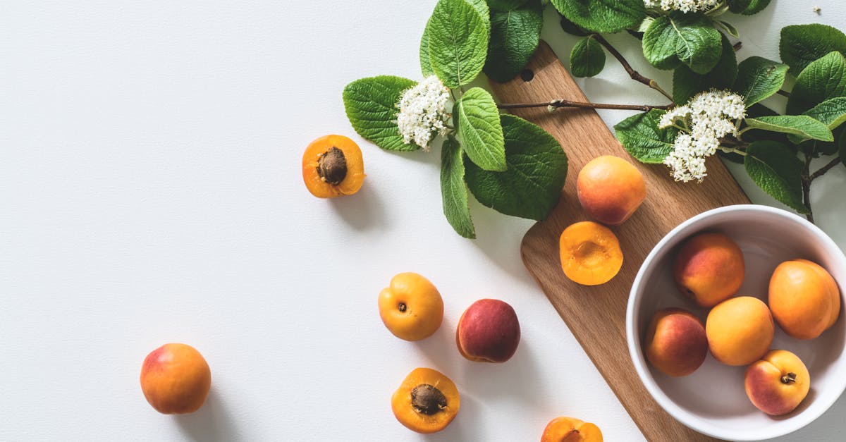 découvrez des conseils et des informations pratiques pour améliorer votre santé et votre bien-être au quotidien. explorez des astuces sur la nutrition, l'exercice, la gestion du stress et bien plus encore pour vivre en pleine forme.