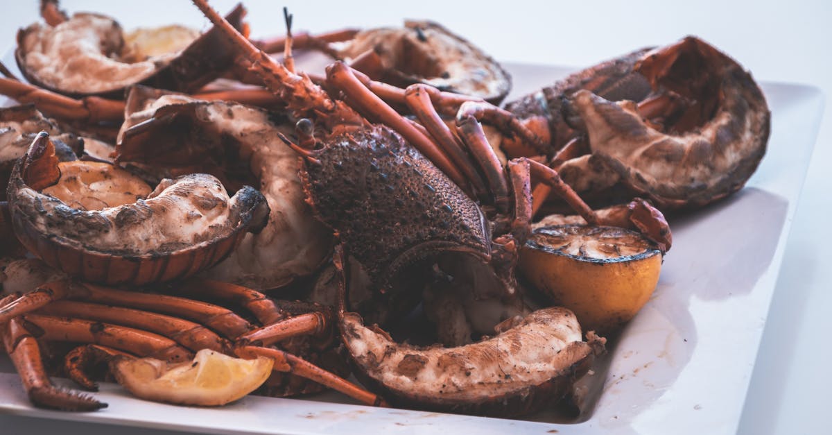 découvrez le monde fascinant du homard : ses origines, ses espèces et les meilleures recettes pour le préparer. plongez dans l'univers de ce crustacé succulent et apprenez à l'apprécier sous toutes ses formes.
