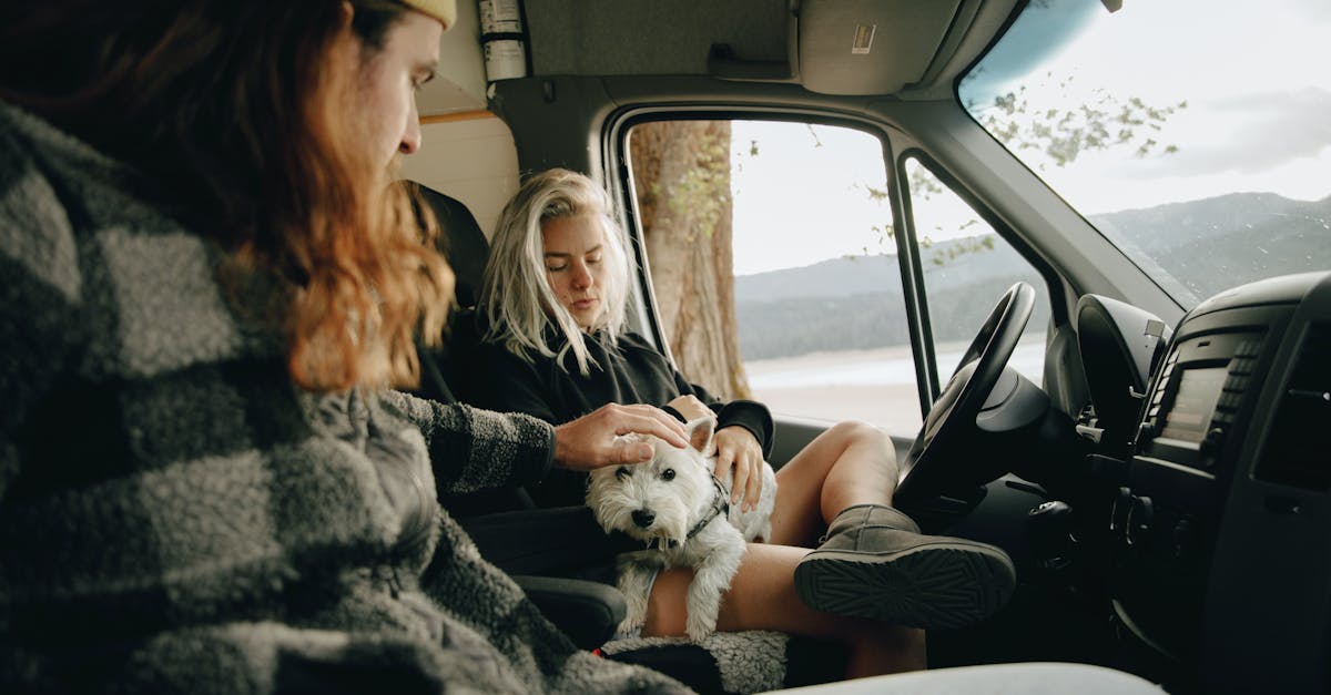 découvrez le confort et la liberté d'un mobile home, idéal pour des vacances en pleine nature ou un logement permanent. profitez d'un espace optimisé, d'équipements modernes et d'un cadre accueillant pour toute la famille.