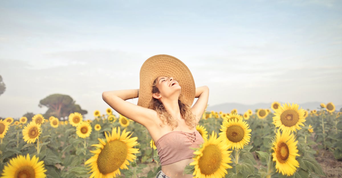 découvrez un pays sans moustiques, où vous pouvez profiter pleinement de la nature et des activités en plein air sans inquiétude. explorez des destinations paradisiaques avec un climat agréable et une biodiversité préservée.