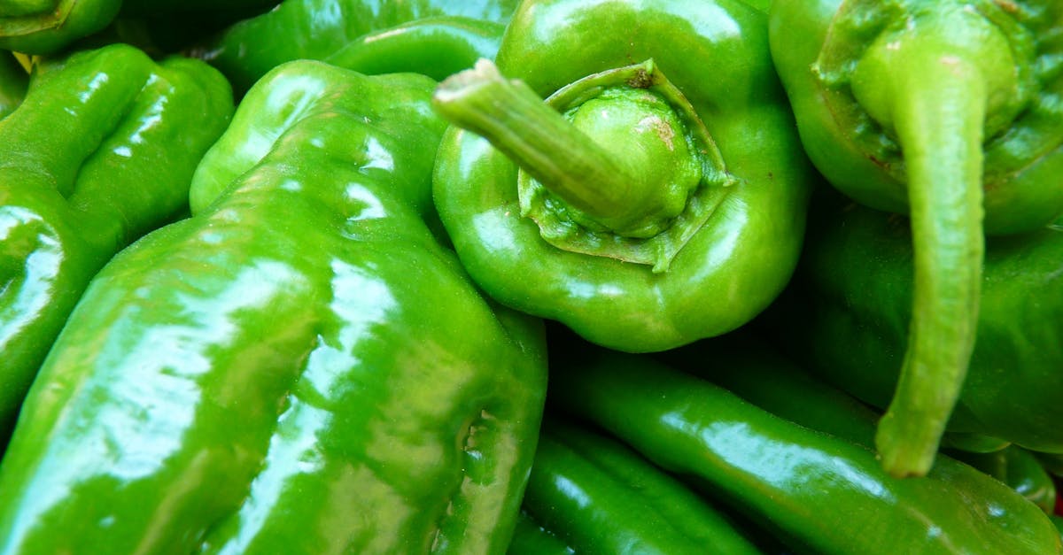 découvrez tout sur le poivre : ses variétés, ses bienfaits pour la santé, des recettes savoureuses et des conseils d'utilisation pour rehausser vos plats avec des saveurs uniques.