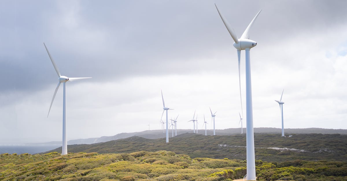 découvrez les avantages de l'énergie éolienne, une source d'énergie renouvelable et durable. apprenez comment elle contribue à la réduction des émissions de carbone et à la transition énergétique, tout en explorant les innovations et les défis technologiques de ce secteur en pleine expansion.