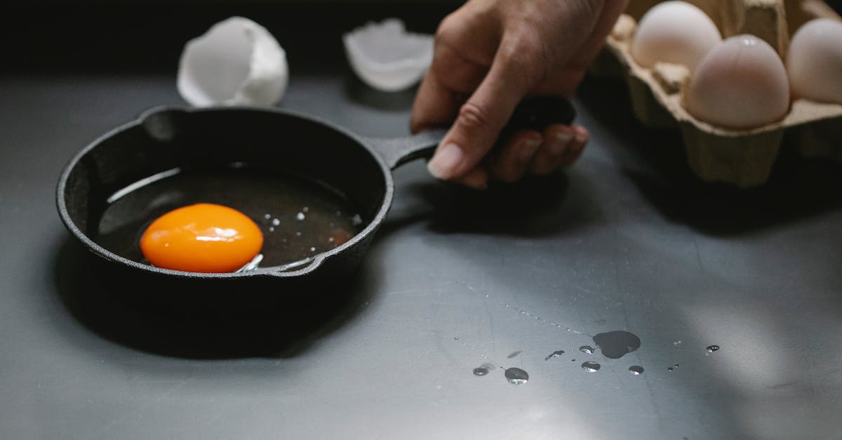 découvrez notre sélection de poêles à frire, alliant qualité et performance. que vous soyez un cuisinier amateur ou un chef aguerri, trouvez la poêle idéale pour réaliser de délicieuses recettes. profitez de conseils d’experts pour choisir le modèle qui correspond à vos besoins culinaires.