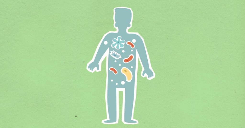 découvrez le microbiome, cet écosystème complexe de micro-organismes qui habite notre corps. enrichissez vos connaissances sur son rôle essentiel dans notre santé, sa relation avec notre système immunitaire et son influence sur notre bien-être général.