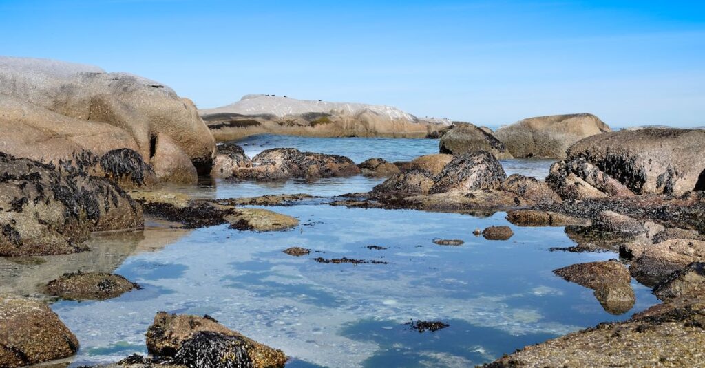 découvrez des alternatives innovantes et pratiques pour améliorer votre quotidien. que ce soit pour des produits, des services ou des solutions écologiques, explorez des options variées qui répondent à vos besoins tout en respectant l'environnement.