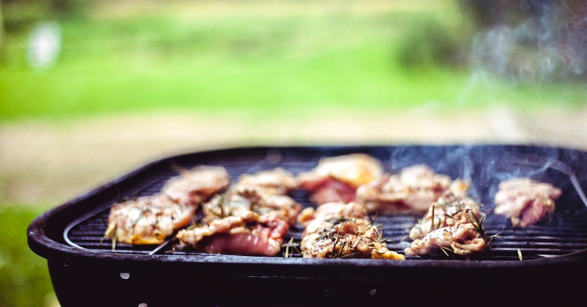 découvrez nos conseils et astuces pour réussir vos barbecues. recettes savoureuses, techniques de cuisson, et idées d'accompagnements, tout pour faire de vos grillades un moment inoubliable.