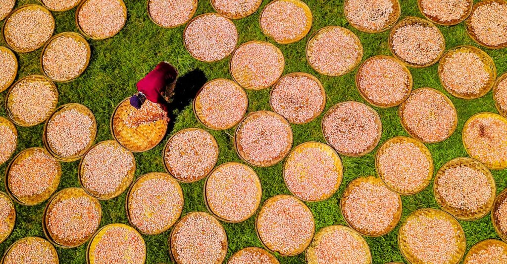 découvrez les meilleures techniques de préservation des aliments pour prolonger leur durée de vie et maintenir leur saveur. des méthodes traditionnelles aux innovations modernes, apprenez comment conserver vos aliments de manière efficace et saine.