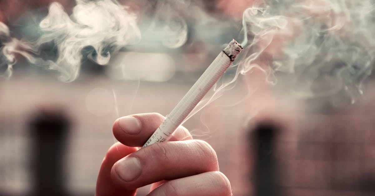 découvrez les dangers des substances nocives pour la santé et l'environnement. informez-vous sur les risques associés à leur utilisation et apprenez les moyens de les éviter pour protéger votre bien-être et celui de la planète.