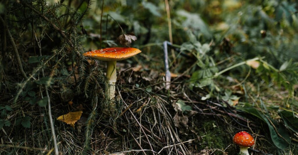 découvrez les dangers des substances nocives sur la santé et l'environnement. informez-vous sur leurs impacts, prévention et alternatives pour un mode de vie sain et durable.