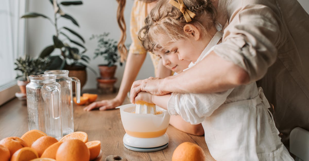 découvrez le meilleur des extracteurs de jus : astuces, conseils, et recettes pour savourer des jus frais et sains à la maison. transformez vos fruits et légumes en délices nutritifs avec notre guide complet sur les juicers.