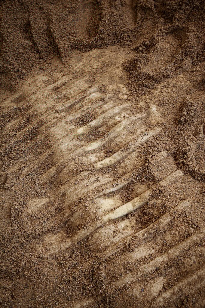 Maybe a mammoth maybe a dinosaur