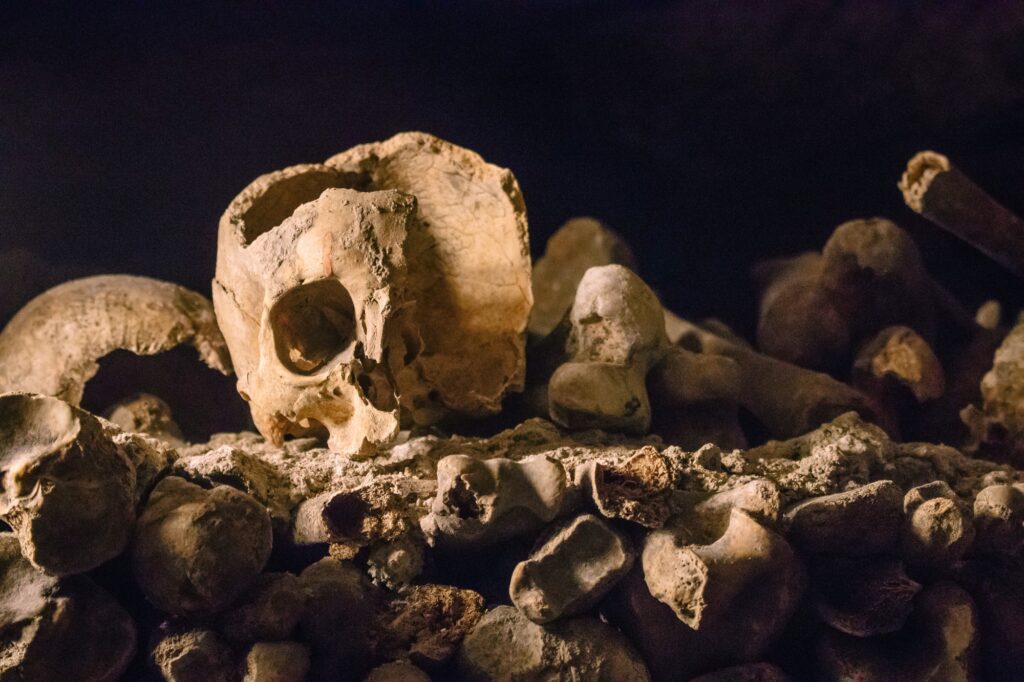 Skull in the Paris catacombs