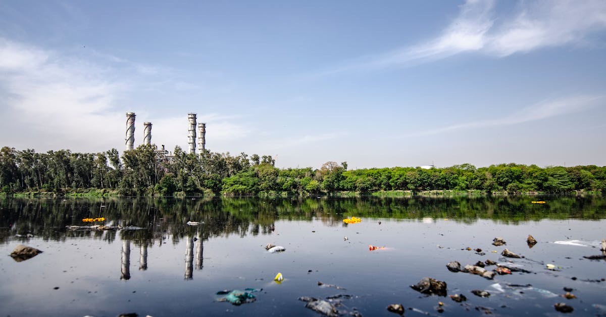 découvrez les dangers des substances toxiques dans notre environnement. apprenez comment elles affectent notre santé et comment les éviter au quotidien.