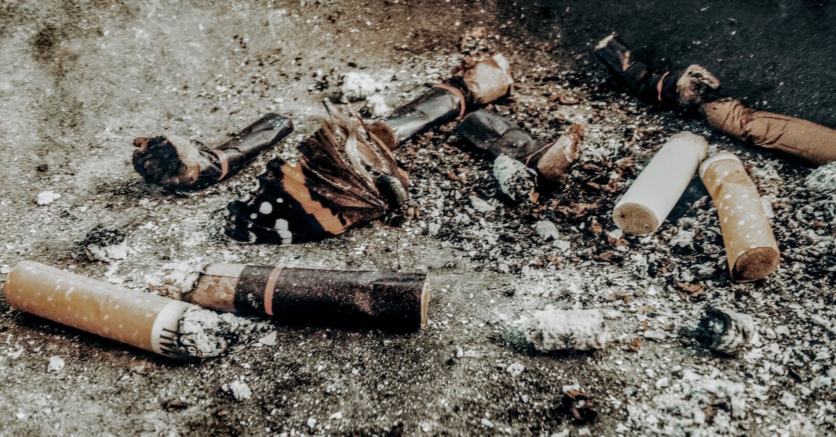 découvrez les substances toxiques, leurs effets sur la santé et l'environnement, ainsi que des conseils sur la prévention et la gestion des risques associés à leur exposition.