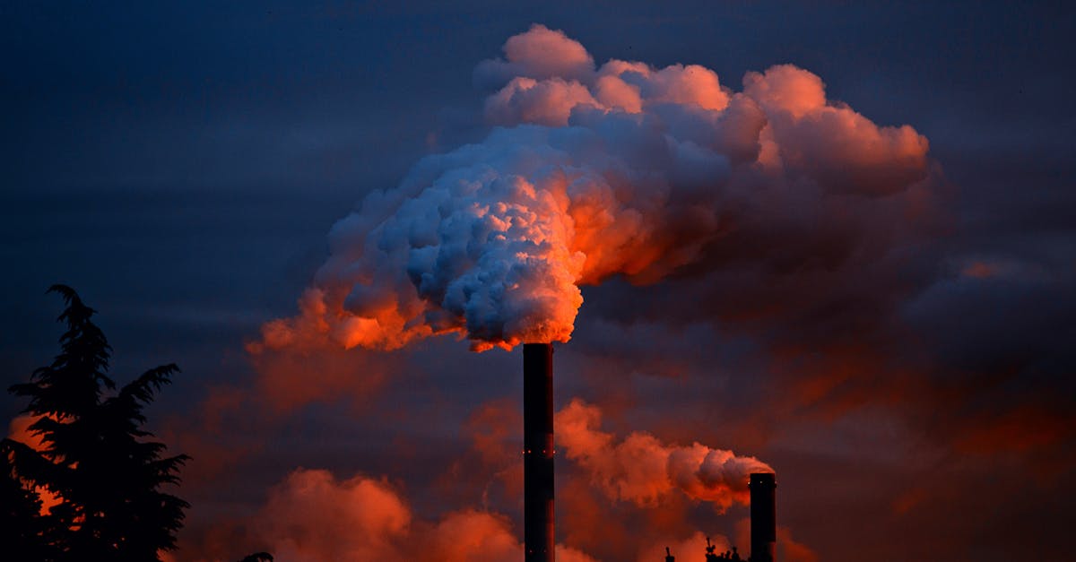 découvrez les dangers des substances toxiques, leur impact sur la santé et l'environnement, et les moyens de s'en protéger efficacement. informez-vous sur les réglementations et les bonnes pratiques à adopter pour minimiser les risques liés aux produits chimiques nocifs.