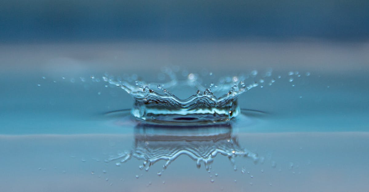 découvrez l'importance de l'eau dans notre quotidien, ses bienfaits pour la santé, et son rôle essentiel dans l'écosystème. apprenez comment préserver cette ressource précieuse et adoptez des gestes éco-responsables pour un avenir durable.