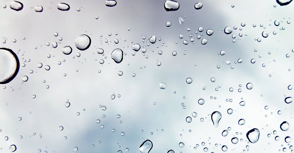 découvrez l'importance essentielle de l'eau pour la vie, ses propriétés uniques, et son rôle dans notre quotidien. apprenez comment préserver cette ressource précieuse pour les générations futures.