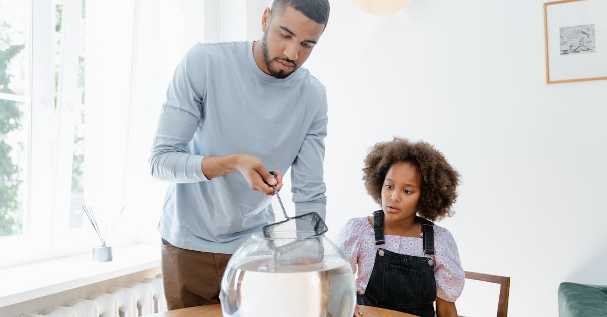 découvrez notre outil de nettoyage de fenêtres innovant, conçu pour rendre vos vitres impeccables et sans effort. profitez d'une brillance éclatante et d'une facilité d'utilisation inégalée pour un intérieur lumineux et accueillant.
