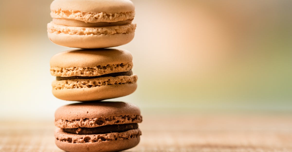 découvrez tous les secrets du chocolat : ses origines, ses variétés, ses bienfaits et comment l’apprécier dans de délicieuses recettes. un guide complet pour tous les amateurs de chocolat !