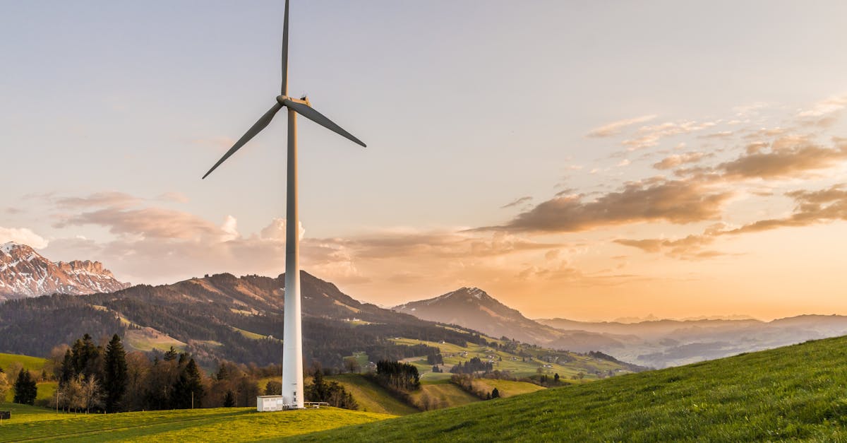 découvrez notre fournisseur d'électricité, offrant des solutions énergétiques durables et compétitives. profitez de tarifs attractifs, d'un service client exceptionnel et d'options personnalisées pour tous vos besoins en énergie.