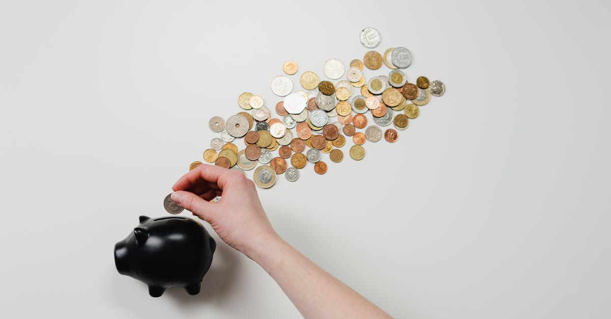 découvrez les opportunités d'investissement offertes par les fonds en euros, un placement sécurisé et performant adapté à vos projets financiers. maximisez vos gains avec une gestion optimisée de votre épargne.