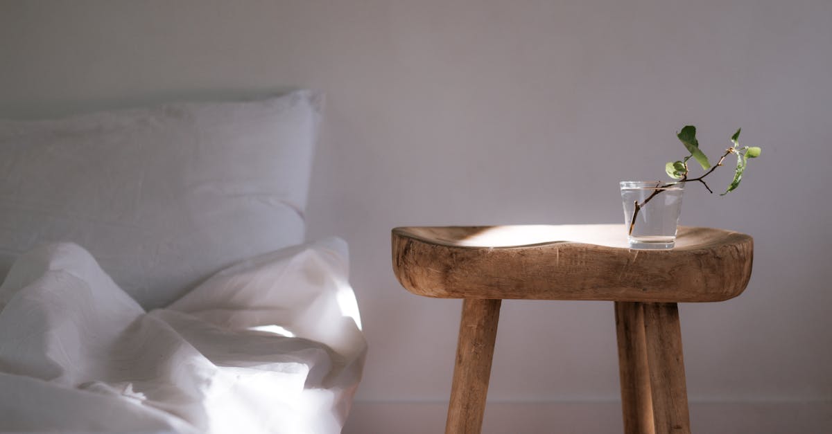 découvrez comment apporter une fraîcheur naturelle à votre intérieur grâce à des astuces et solutions simples pour purifier et parfumer votre maison au quotidien.