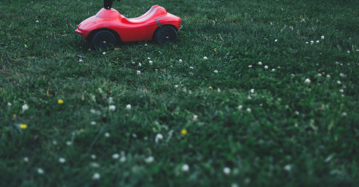 découvrez notre gamme de tontes de pelouse innovantes, alliant performance et efficacité. que vous ayez un petit jardin ou un vaste terrain, nos tondeuses à gazon vous garantiront une coupe parfaite et un entretien facile de votre espace extérieur. faites le choix de la qualité pour un gazon toujours au top !