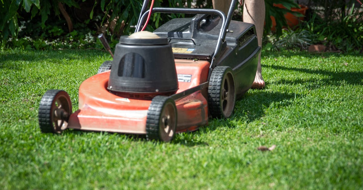 découvrez notre sélection de tondeuses à gazon performantes et adaptée à tous les types de jardins. profitez d'une coupe parfaite et d'un entretien facilité pour votre pelouse. idéales pour les particuliers et les professionnels, nos tondeuses sont équipées des dernières technologies pour un résultat impeccable.