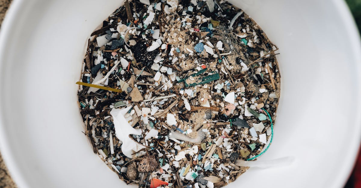 découvrez ce que sont les microplastiques : sources, impacts sur l'environnement et la santé, et solutions pour limiter leur diffusion dans notre quotidien.