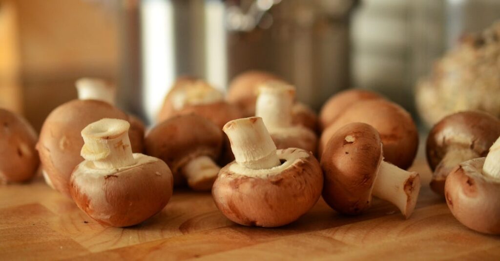 découvrez l'univers fascinant des champignons. explorez les différentes espèces, leurs bienfaits pour la santé, et comment les intégrer dans vos recettes. plongez dans le monde des mycèles et apprenez à les cultiver chez vous.