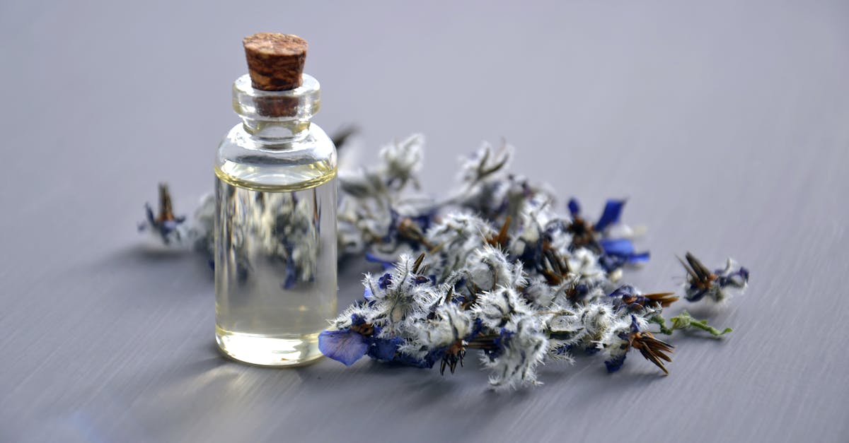 découvrez des alternatives à ozempic pour la gestion de votre poids et le traitement du diabète de type 2. explorez des solutions naturelles et médicamenteuses qui pourraient convenir à vos besoins de santé.