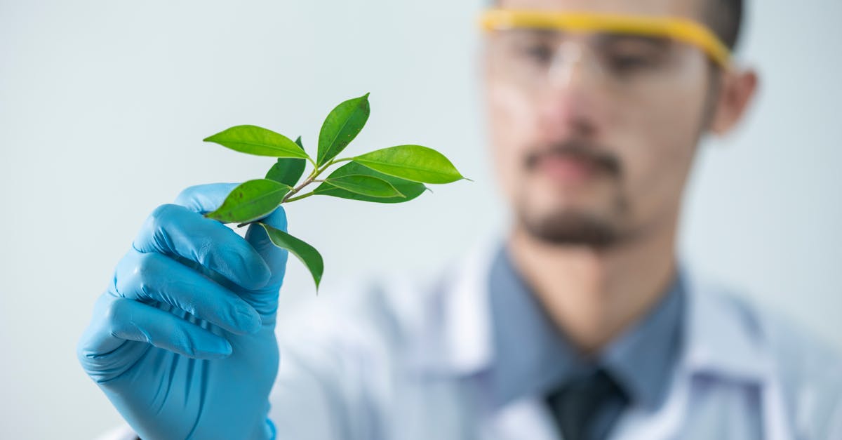 découvrez notre produit innovant, conçu pour répondre à vos besoins quotidiens avec efficacité et simplicité. profitez d'une qualité supérieure et d'un excellent rapport qualité-prix.