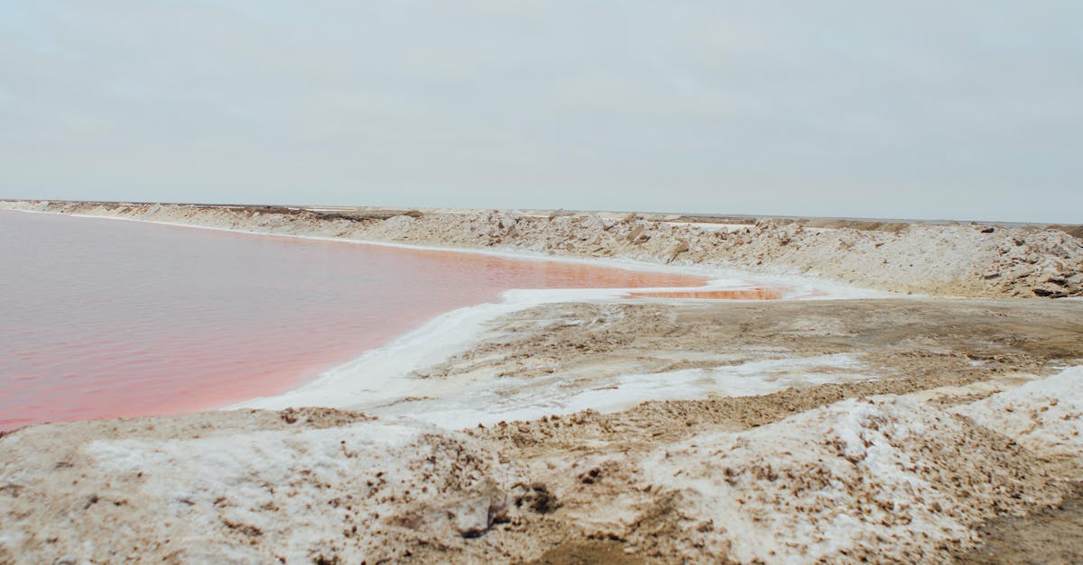 le sodium ferrocyanure est un composé chimique utilisé principalement comme additif alimentaire (e535) et agent antiagglomérant. découvrez ses usages, propriétés et questions de sécurité.
