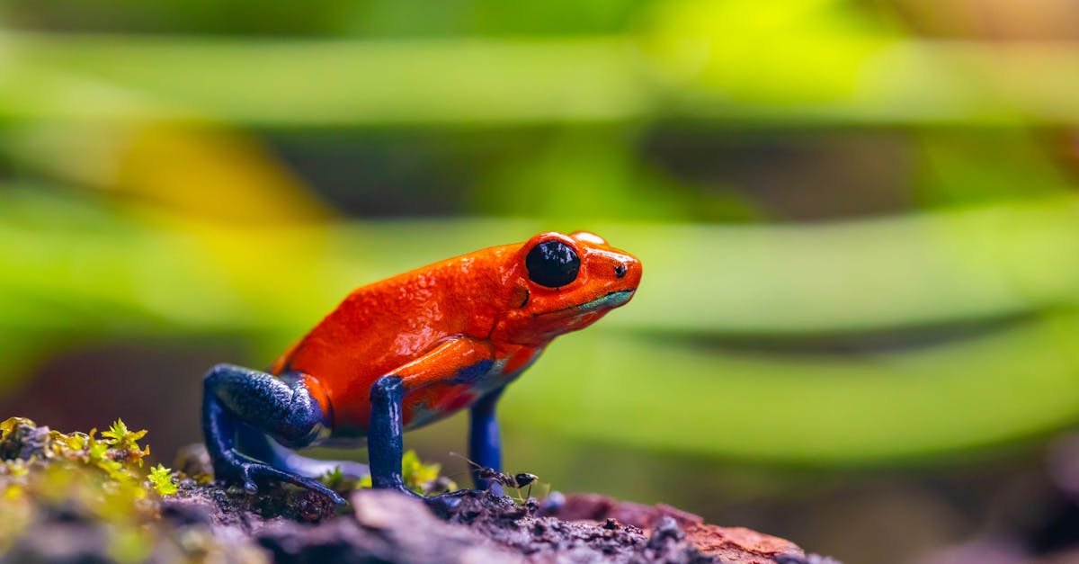 découvrez tout ce qu'il faut savoir sur les substances toxiques : définition, exemples, dangers pour la santé et conseils pour limiter l'exposition au quotidien.