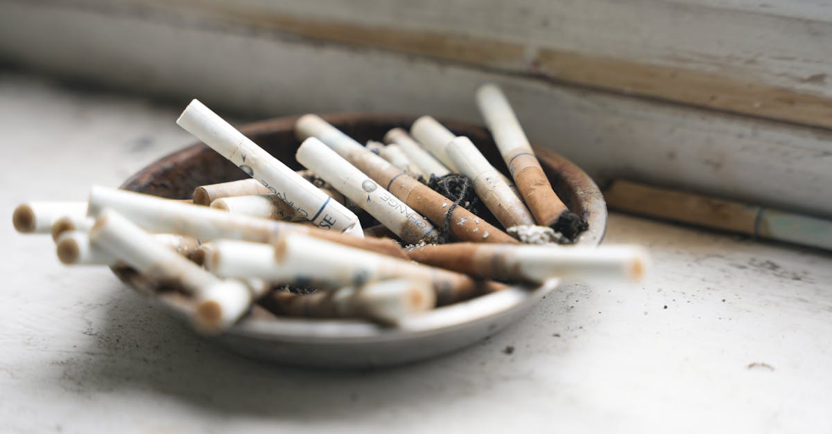découvrez ce que sont les substances toxiques, leurs effets sur la santé humaine et l’environnement, ainsi que les meilleures pratiques pour s’en protéger au quotidien.