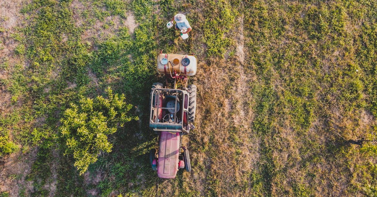 découvrez ce que sont les substances toxiques, leurs effets sur la santé et l’environnement, ainsi que des conseils pour s’en protéger efficacement au quotidien.
