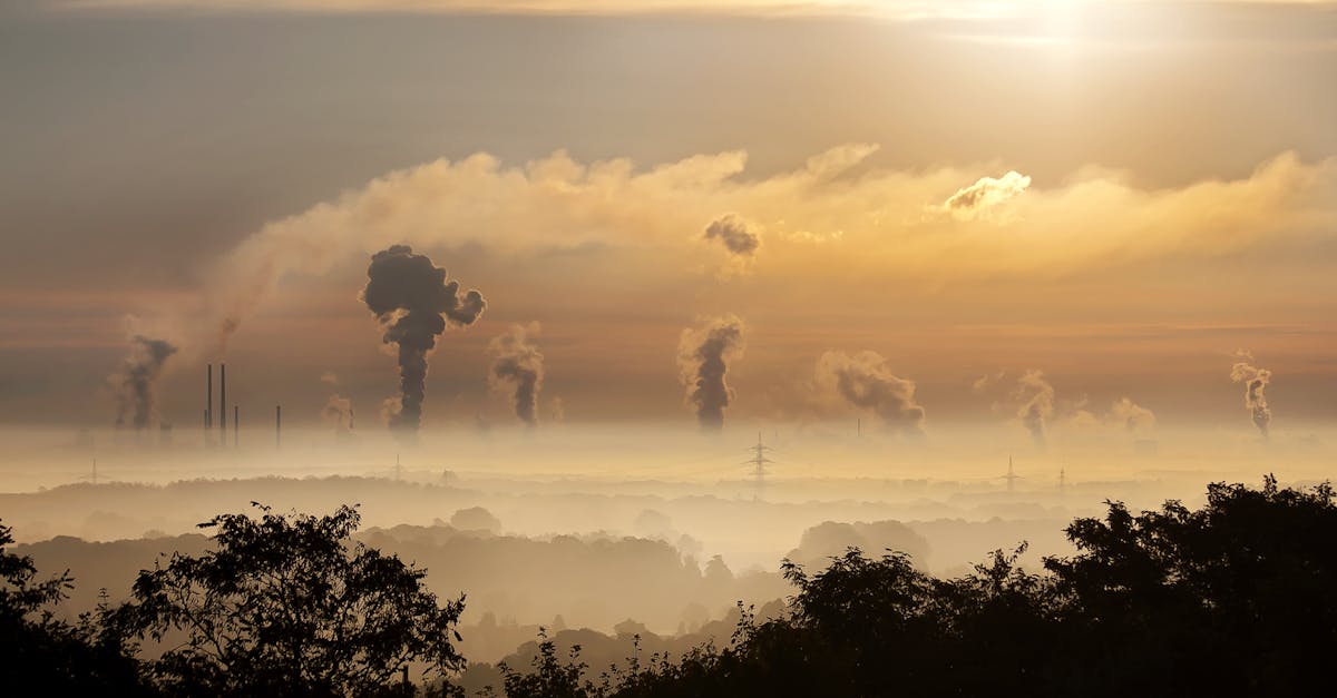 découvrez les principales substances toxiques, leurs dangers pour la santé et l’environnement, ainsi que les conseils pour s’en protéger efficacement au quotidien.