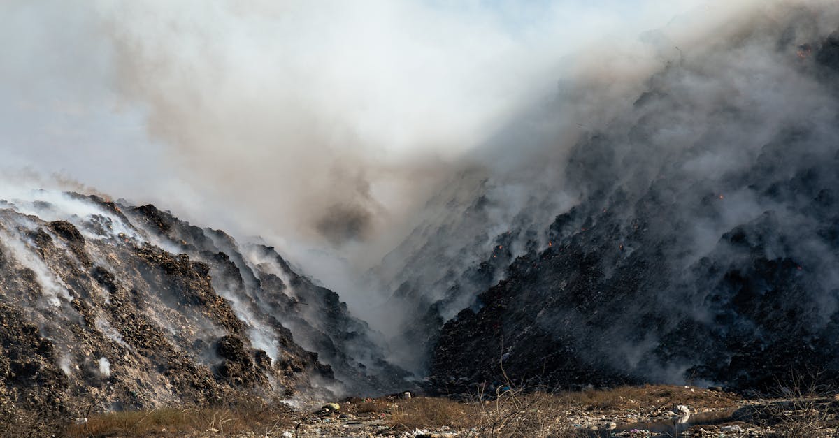 découvrez ce que sont les substances toxiques, leurs effets sur la santé humaine et l’environnement, ainsi que les précautions à prendre pour limiter leur exposition.