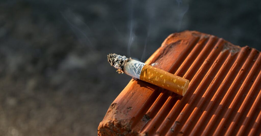 découvrez ce que sont les substances toxiques, leurs effets sur la santé et l’environnement, ainsi que des conseils pour les reconnaître et s’en protéger efficacement.