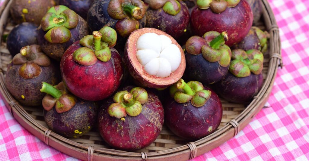 découvrez les bienfaits du garcinia cambogia, un complément naturel réputé pour aider à la perte de poids, contrôler l’appétit et soutenir le bien-être. toutes les informations et conseils pour une utilisation optimale.