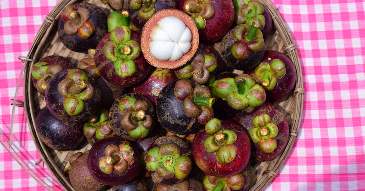 découvrez les bienfaits du garcinia cambogia, un complément naturel souvent utilisé pour favoriser la perte de poids, réduire l'appétit et soutenir une alimentation équilibrée. conseils d'utilisation et précautions ici.