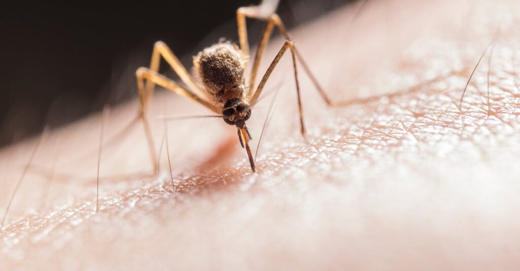 découvrez ce que sont les substances nocives, leurs effets sur la santé et l'environnement, ainsi que des conseils pour les identifier et s'en protéger efficacement.