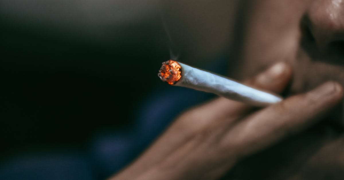 découvrez tout ce qu’il faut savoir sur les substances nocives : leurs effets sur la santé, où elles se trouvent, et comment s’en protéger efficacement au quotidien.